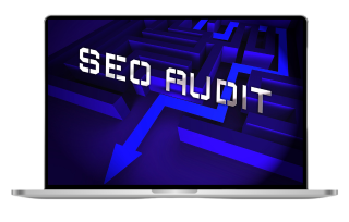 SEO audit with industry expert